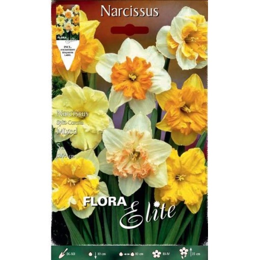 802058 Narcisus Corona